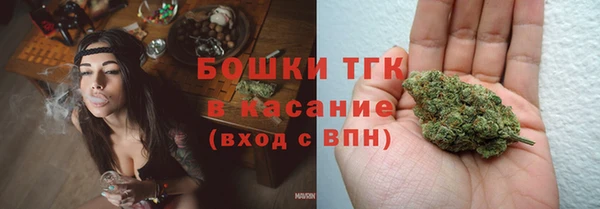 прущие грибы Верхний Тагил